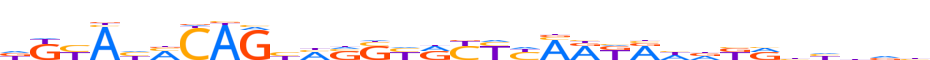 ZKSC8.H12CORE.0.P.B reverse-complement motif logo (ZKSCAN8 gene, ZKSC8_HUMAN protein)