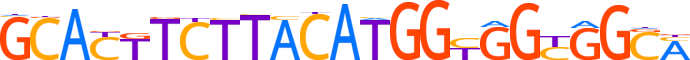 ZN100.H12CORE.0.P.B motif logo (ZNF100 gene, ZN100_HUMAN protein)