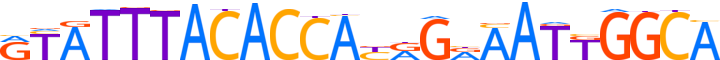 ZN112.H12CORE.0.P.C reverse-complement motif logo (ZNF112 gene, ZN112_HUMAN protein)