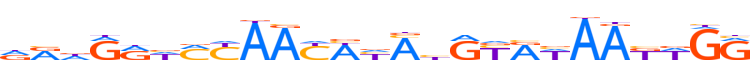 ZN133.H12CORE.0.P.B motif logo (ZNF133 gene, ZN133_HUMAN protein)