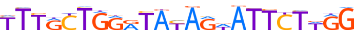 ZN136.H12CORE.0.P.B motif logo (ZNF136 gene, ZN136_HUMAN protein)