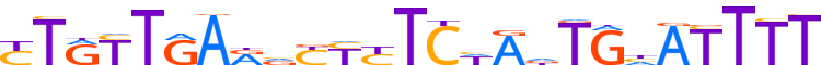 ZN160.H12CORE.0.P.C reverse-complement motif logo (ZNF160 gene, ZN160_HUMAN protein)