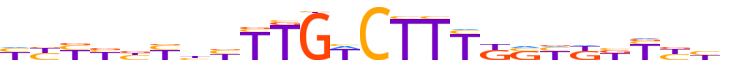 ZN197.H12CORE.0.P.C motif logo (ZNF197 gene, ZN197_HUMAN protein)