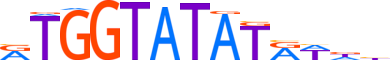 ZN211.H12CORE.0.P.B motif logo (ZNF211 gene, ZN211_HUMAN protein)