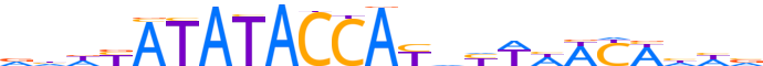 ZN211.H12CORE.1.P.C reverse-complement motif logo (ZNF211 gene, ZN211_HUMAN protein)