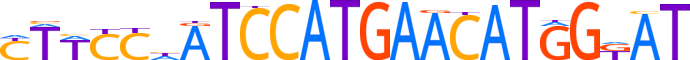ZN248.H12CORE.0.P.B reverse-complement motif logo (ZNF248 gene, ZN248_HUMAN protein)