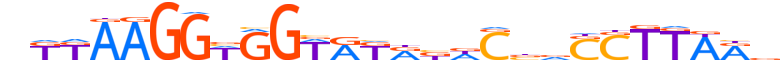 ZN276.H12CORE.0.SM.B motif logo (ZNF276 gene, ZN276_HUMAN protein)