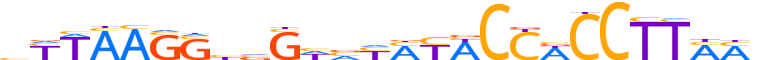 ZN276.H12CORE.0.SM.B reverse-complement motif logo (ZNF276 gene, ZN276_HUMAN protein)