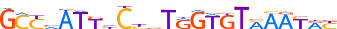 ZN285.H12CORE.0.P.C motif logo (ZNF285 gene, ZN285_HUMAN protein)