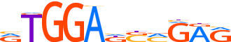 ZN333.H12CORE.0.P.C motif logo (ZNF333 gene, ZN333_HUMAN protein)