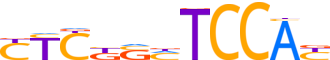 ZN333.H12CORE.0.P.C reverse-complement motif logo (ZNF333 gene, ZN333_HUMAN protein)