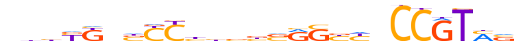 ZN407.H12CORE.0.P.B motif logo (ZNF407 gene, ZN407_HUMAN protein)