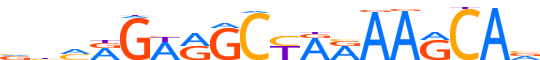 ZN418.H12CORE.0.P.B reverse-complement motif logo (ZNF418 gene, ZN418_HUMAN protein)