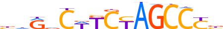 ZN431.H12CORE.0.P.C reverse-complement motif logo (ZNF431 gene, ZN431_HUMAN protein)