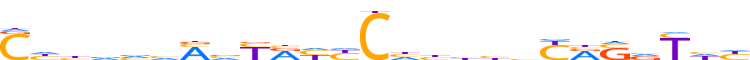 ZN557.H12CORE.0.P.C reverse-complement motif logo (ZNF557 gene, ZN557_HUMAN protein)