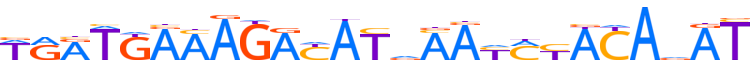 ZN558.H12CORE.0.P.B motif logo (ZNF558 gene, ZN558_HUMAN protein)