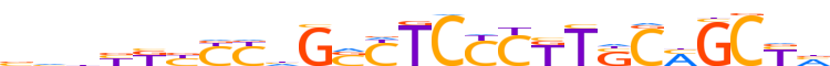 ZN566.H12CORE.0.P.C reverse-complement motif logo (ZNF566 gene, ZN566_HUMAN protein)