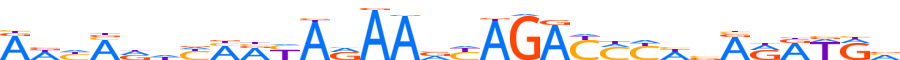 ZN567.H12CORE.0.P.C motif logo (ZNF567 gene, ZN567_HUMAN protein)