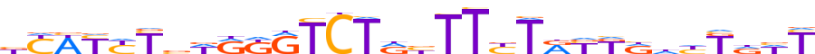 ZN567.H12CORE.0.P.C reverse-complement motif logo (ZNF567 gene, ZN567_HUMAN protein)