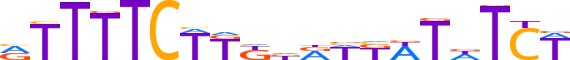 ZN570.H12CORE.0.P.C reverse-complement motif logo (ZNF570 gene, ZN570_HUMAN protein)