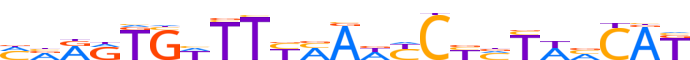 ZN595.H12CORE.0.P.C reverse-complement motif logo (ZNF595 gene, ZN595_HUMAN protein)