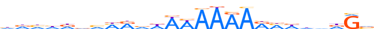 ZN613.H12CORE.0.P.C reverse-complement motif logo (ZNF613 gene, ZN613_HUMAN protein)