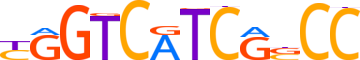 ZN669.H12CORE.1.P.C motif logo (ZNF669 gene, ZN669_HUMAN protein)