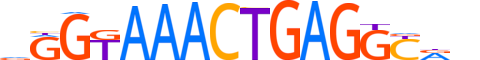 ZN787.H12CORE.0.M.C reverse-complement motif logo (ZNF787 gene, ZN787_HUMAN protein)