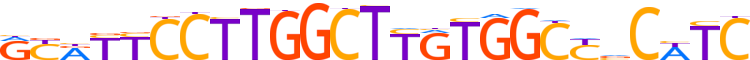 ZN805.H12CORE.0.P.C reverse-complement motif logo (ZNF805 gene, ZN805_HUMAN protein)