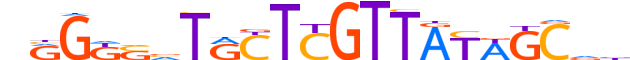 ZNF12.H12CORE.1.M.C reverse-complement motif logo (ZNF12 gene, ZNF12_HUMAN protein)