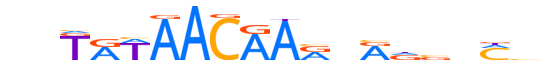 ZNF12.H12CORE.2.S.C motif logo (ZNF12 gene, ZNF12_HUMAN protein)