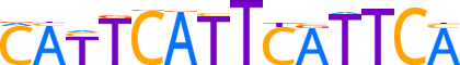 ZNF24.H12CORE.0.P.B reverse-complement motif logo (ZNF24 gene, ZNF24_HUMAN protein)