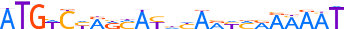 ZNF26.H12CORE.0.P.B motif logo (ZNF26 gene, ZNF26_HUMAN protein)