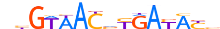 ZNF32.H12CORE.0.SM.B motif logo (ZNF32 gene, ZNF32_HUMAN protein)