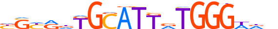 ZNF76.H12CORE.1.SM.B motif logo (ZNF76 gene, ZNF76_HUMAN protein)