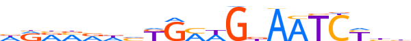 ZNF85.H12CORE.1.P.B motif logo (ZNF85 gene, ZNF85_HUMAN protein)