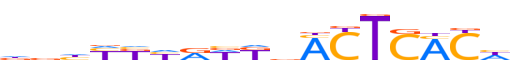 ZSA5C.H12CORE.0.P.C reverse-complement motif logo (ZSCAN5C gene, ZSA5C_HUMAN protein)