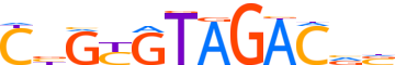 ZSC29.H12CORE.0.P.B reverse-complement motif logo (ZSCAN29 gene, ZSC29_HUMAN protein)
