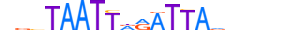 ALX4.H12CORE.0.S.B motif logo (ALX4 gene, ALX4_HUMAN protein)