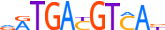 ATF2.H12CORE.0.PSM.A motif logo (ATF2 gene, ATF2_HUMAN protein)