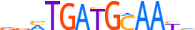ATF4.H12CORE.0.P.B motif logo (ATF4 gene, ATF4_HUMAN protein)