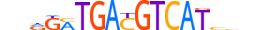 ATF4.H12CORE.2.SM.B motif logo (ATF4 gene, ATF4_HUMAN protein)