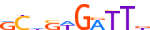 GFI1.H12CORE.0.PSM.A motif logo (GFI1 gene, GFI1_HUMAN protein)