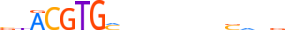 HIF1A.H12CORE.1.P.B motif logo (HIF1A gene, HIF1A_HUMAN protein)
