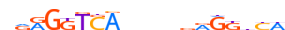 RARA.H12CORE.1.P.B motif logo (RARA gene, RARA_HUMAN protein)