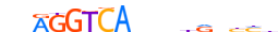 RARA.H12CORE.2.P.B motif logo (RARA gene, RARA_HUMAN protein)