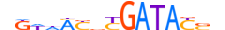SIX2.H12CORE.1.M.C motif logo (SIX2 gene, SIX2_HUMAN protein)