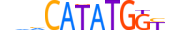TCF21.H12CORE.1.SM.B motif logo (TCF21 gene, TCF21_HUMAN protein)