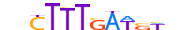 TF7L1.H12CORE.0.PM.A motif logo (TCF7L1 gene, TF7L1_HUMAN protein)