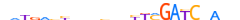 ZN177.H12CORE.0.SM.B motif logo (ZNF177 gene, ZN177_HUMAN protein)